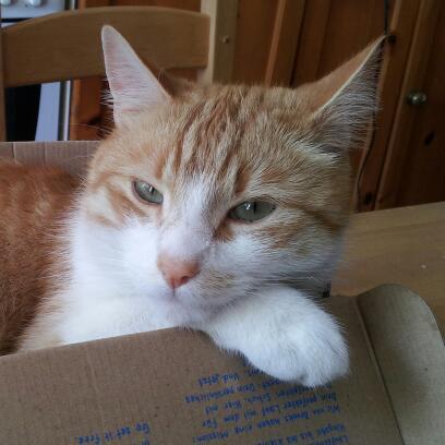 janemonster's profile picture. 