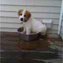 Cherry Marshall - @C1Marshall - Twitter