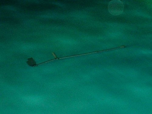 PinillaBohle's profile picture. Cuco corporativo...