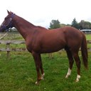 Christopher Belton - @megabelts - Twitter