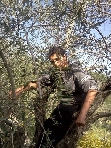 abdallahshanaa's profile picture. 