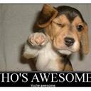 Diane Bryant - @DianeBryant7 - Twitter