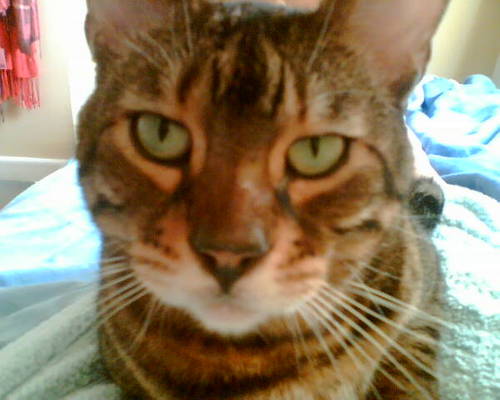 Topsy33's profile picture. Busy mum of one, new to Twitter, working it out....