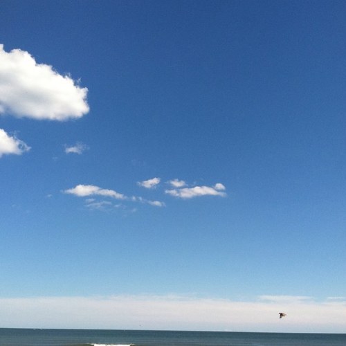 ArleneFiorilli's profile picture. 