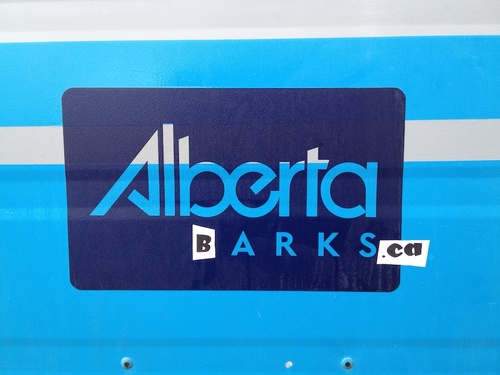 AlbertaBarks's profile picture. Our Back in the Pack dog daycare deserved its own account and the name was inspired by Abe, our Alberta Barks bus.