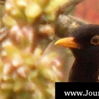 Aribert Deckers (@aribertdeckers) 's Twitter Profile