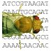 FlyBase (@flybasedotorg) Twitter profile photo FlyBase (@flybasedotorg) Twitter profile photo
