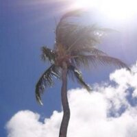 Mrs. Smyth (@patricia_smyth) 's Twitter Profile Photo Mrs. Smyth (@patricia_smyth) 's Twitter Profile Photo