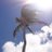 patricia_smyth's profile image