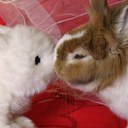 Hannah Kenney - @hannah_kenney - Twitter