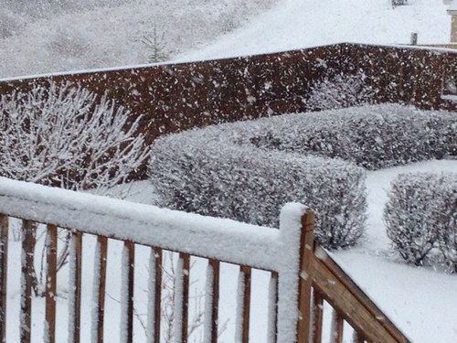 LeafsMark's profile picture. 