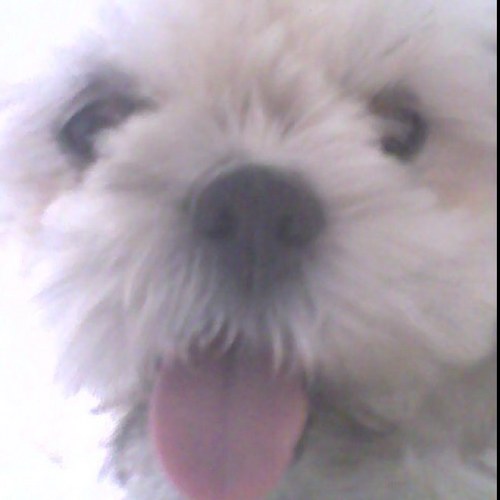 mjdeckert30's profile picture. 