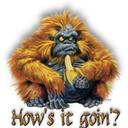 Adrian Petrie - @Ace_Petrie - Twitter