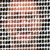 Robert Divko (@drterra) Twitter profile photo