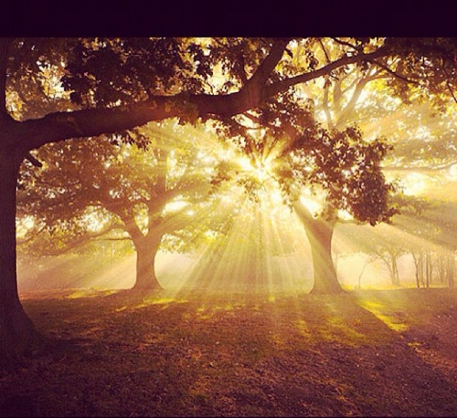 gool_kick's profile picture. サッカーやってます！！イタリア代表が好きでファッションにも興味あります(^з^)-☆