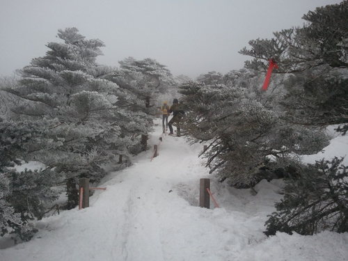 71돼지 /산/mtb/조정래/신영복/통합진보당 당원/사대매국세력척결/자주통일/노동이아름다운세상