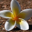 Amber Lind - @lolzzfruity - Twitter