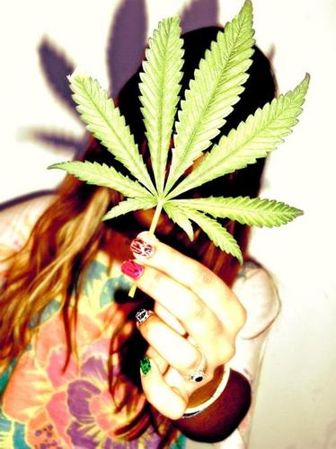 livin the high life, in the windy city. some random dope stoner chick #StayHigh #StonerNation Im a HIPPIE at heart #peace #Love #weed