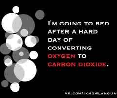 alison054's profile picture. #teamfollowback