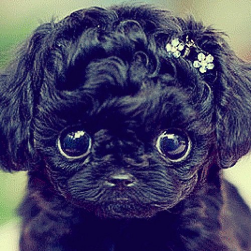 bobowhite76's profile picture. 