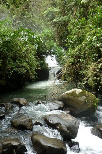 Ing. Sanitaria, UdeA-Medellin, M.Sc. en Sostenibilidad, City College de NY. Doing my best to learn from nature and find the best way to live in harmony with it.