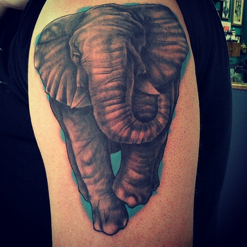 State_St_Tattoo's profile picture. salem ohio custom tattoos,art,and pinstriping 234.567.5809