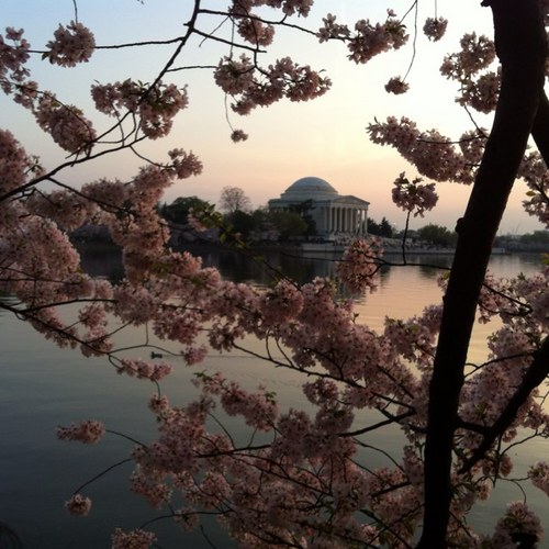 FChiappo's profile picture. 