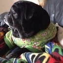 Paul DeWitt - @DeWittPaul - Twitter