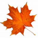 Nathaniel Parrish - @AlbertaSentinel - Twitter