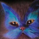 Deb Davidson Kraus - @Debkraus99 - Twitter