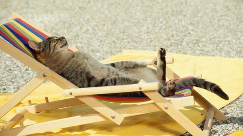 snow222333's profile picture. 