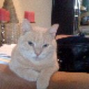 Barbara Boom - @BoomBarbara - Twitter