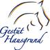 Gestüt Hausgrund (@gest_hausgrund) Twitter profile photo