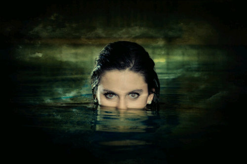 donnymrq's profile picture. 