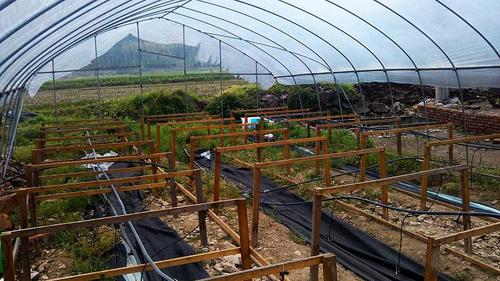 liyangke's profile picture. 