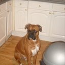 Kyle Matson RFC - @Kyle_mat - Twitter