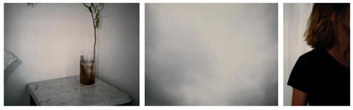 Courtney Barnes Courtneybpr Twitter