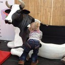 Russell Talbott - @rustytal - Twitter