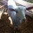 danlynch1975's profile image