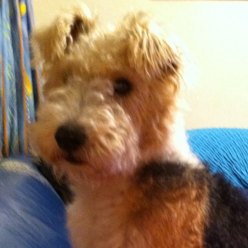 magorinrin's profile picture. 