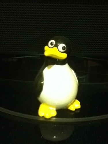 PenguinUncaged's profile picture. what can i say other than i am small black and white ... I don't come in a wrapper.