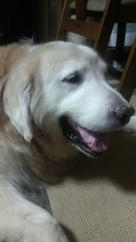 junchan