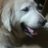 iyemon0527's profile image