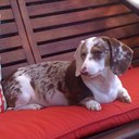 Mary Cintron - @kwmary - Twitter