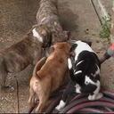 latrice taylor - @skyblue316 - Twitter