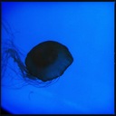 Scott Hinman - @scotthinman - Twitter