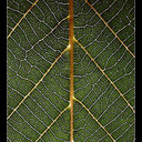 Steve Seager - @seager_steve - Twitter