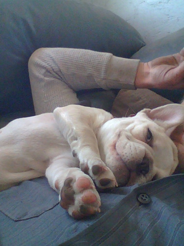 miltech11's profile picture. love racing