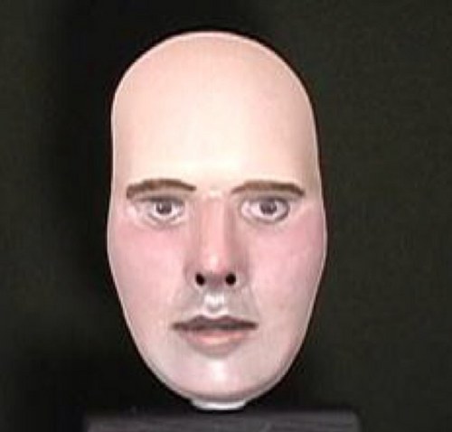 superxylar's profile picture. I only strip on Sundays.