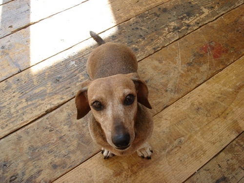 _tunetugu's profile picture. こんばんは(^.^)　ダイナミックに起業しようと55になり会社を辞めました。　尊敬する人物はカーネル・サンダースです。　趣味はビリヤード！宜しくお願い致します。